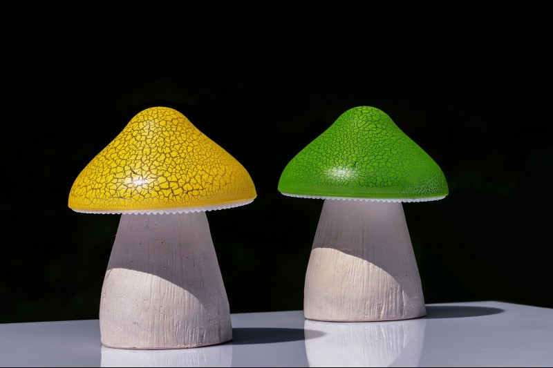 best solar mushroom lights