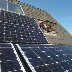 Solar Pals In Renter Property