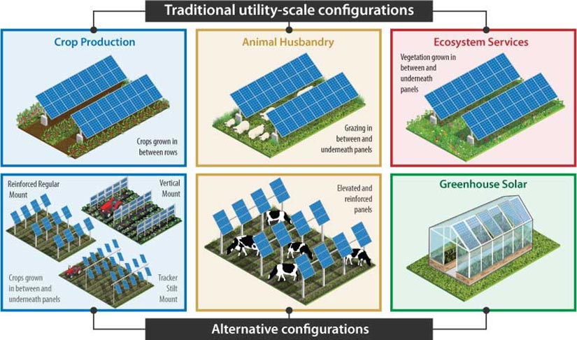 Different agrivoltaics systems configurations