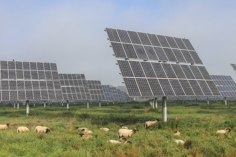 How Much Do Solar Farms Pay to Lease Land?