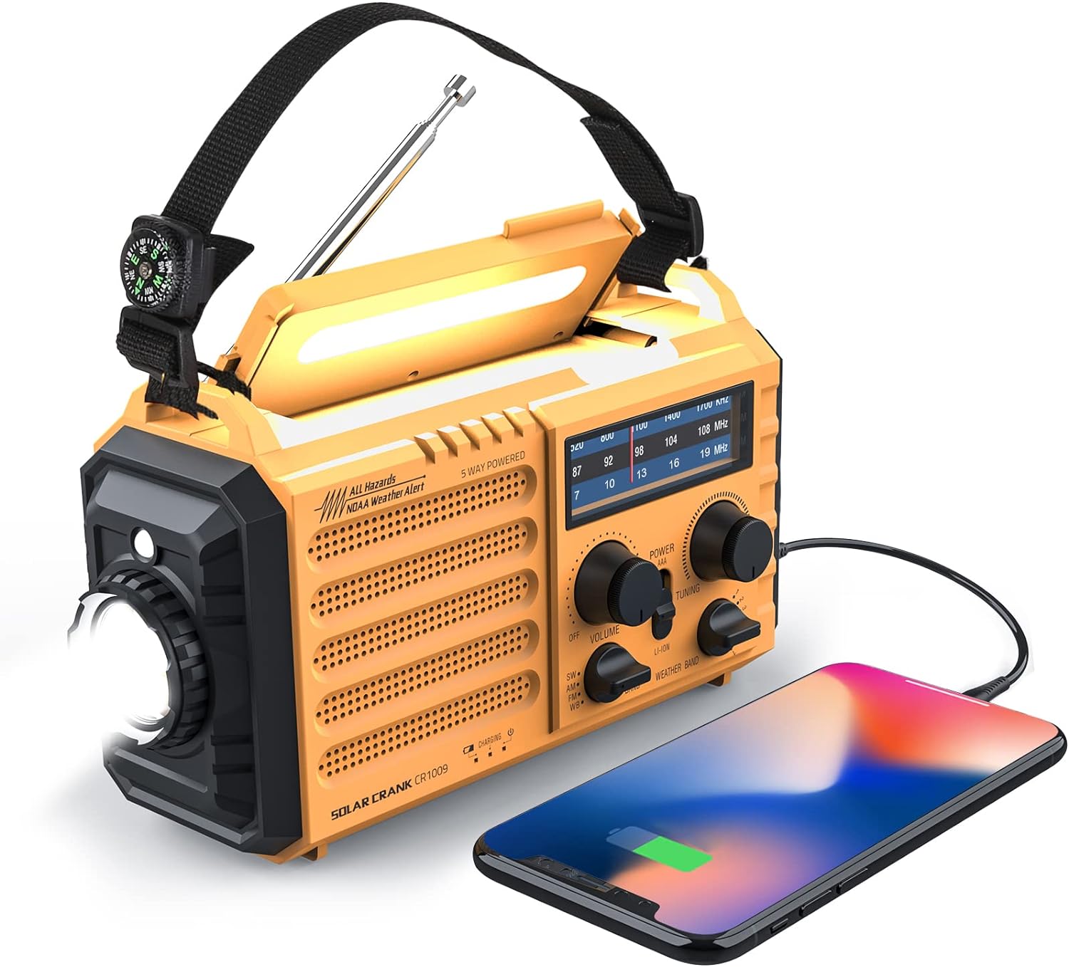 Raynic Electronics 5 Ways Powered Radio